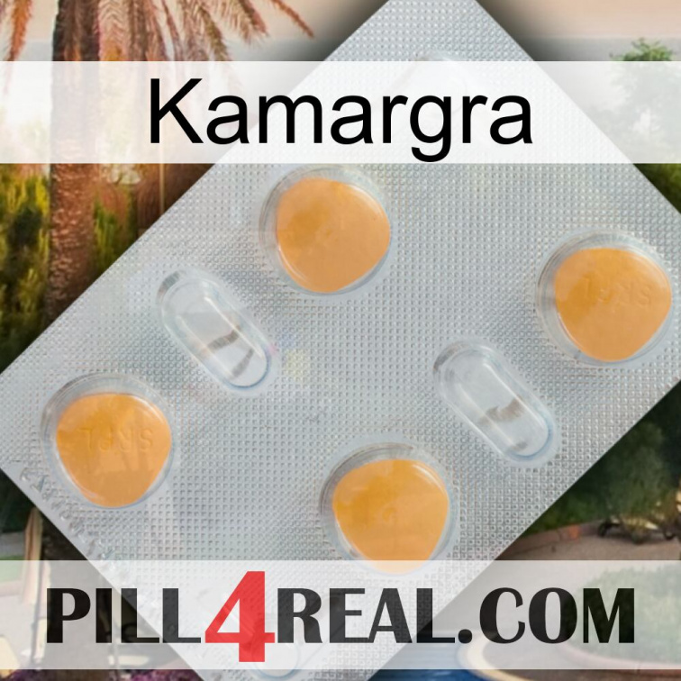 Kamargra 24